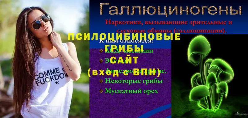 блэк спрут зеркало  цена наркотик  Лянтор  Галлюциногенные грибы Psilocybine cubensis 